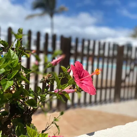 Casa Roxi Con Piscina Comunitaria Corralejo